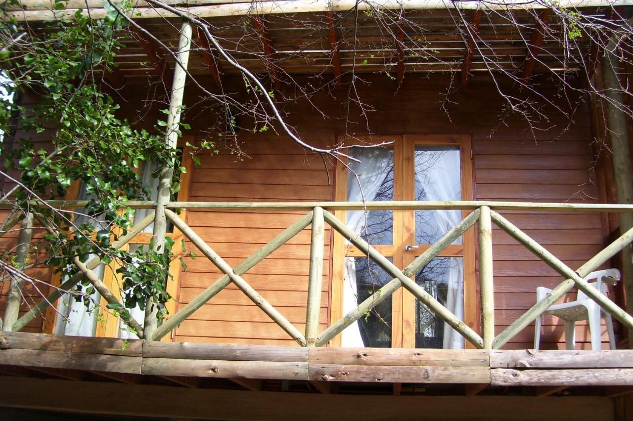 Cabanas Spa Bungalows Huarranchi Pucón Cameră foto